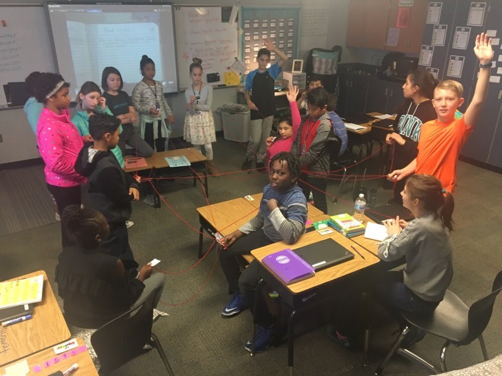 Food Web Activity